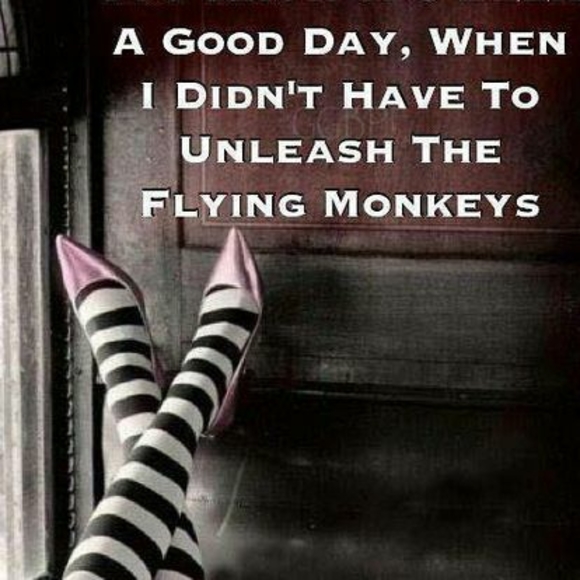 Meet your Posher, Emma - Picture 1 of 1